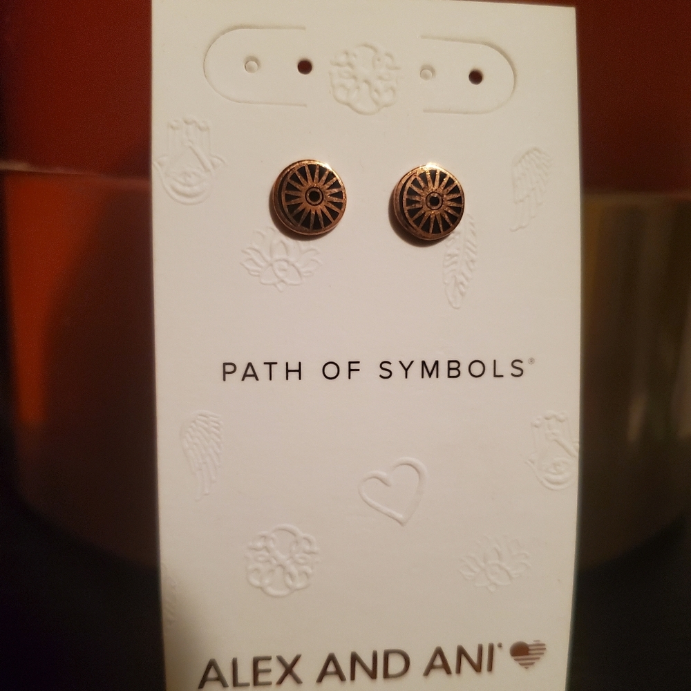 Alex And Ani Rosegold Cosmic Balance earrings